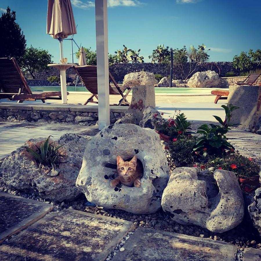 Agriturismo Masseria Saittole Carpignano Salentino Dış mekan fotoğraf